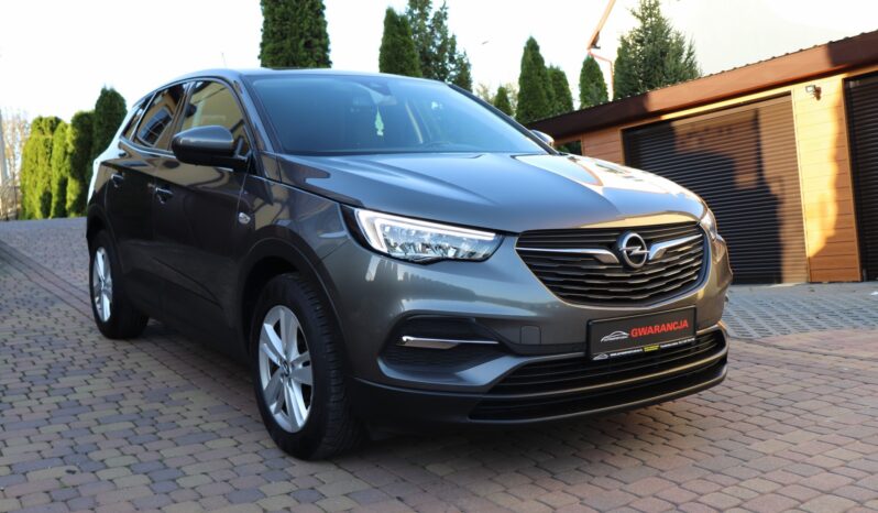 OPEL GRANDLAND X, 1 WŁAŚCICIEL,SERWISOWANY W ASO,F-VAT 23%,GWARANCJA full