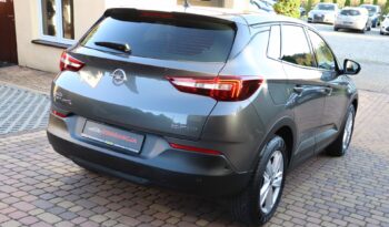 OPEL GRANDLAND X, 1 WŁAŚCICIEL,SERWISOWANY W ASO,F-VAT 23%,GWARANCJA full