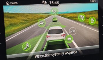 SKODA KAROQ 1.5 TSI, 1 WŁAŚCICIEL, SERWISOWANY, SUV, DSG-AUTOMAT full