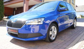 SKODA FABIA 1.0 TSI, 1 WŁAŚCICIEL, SERWISOWANY full