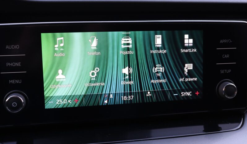 1 WŁAŚCICIEL,KRAJOWY,SERWISOWANY W ASO,F-VAT 23% full