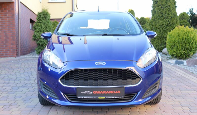 FORD FIESTA 1.25 BENZYNA,NISKI PRZEBIEG,GWARANCJA full