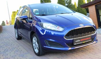 FORD FIESTA 1.25 BENZYNA,NISKI PRZEBIEG,GWARANCJA full