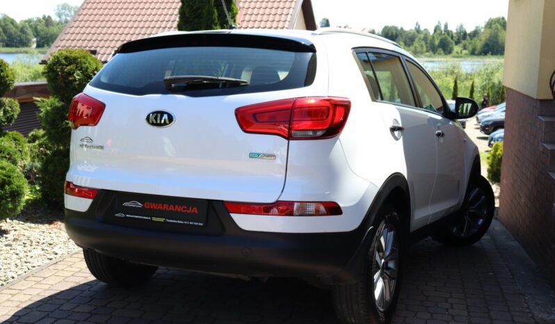 KIA SPORTAGE 1.6 BENZYNA, 1 REJ. 2016 full