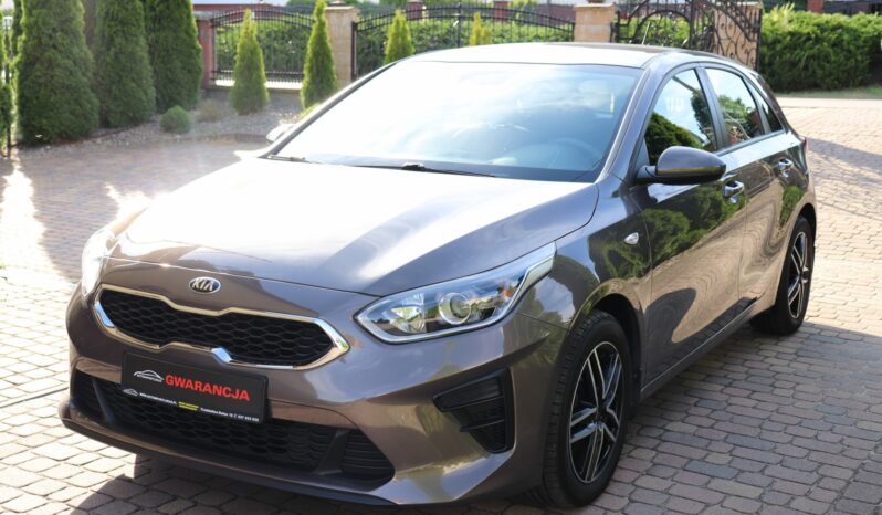 KIA CEED 1.4 BENZYNA. NISKI PRZEBIEG, SERWISOWANY full