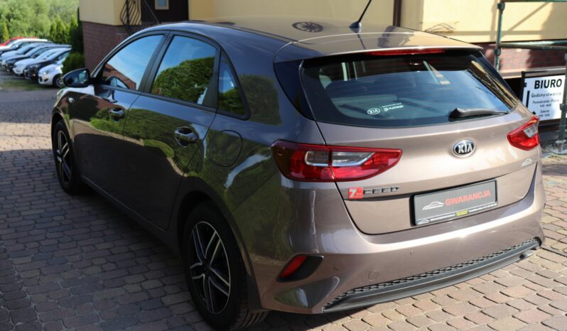 KIA CEED 1.4 BENZYNA. NISKI PRZEBIEG, SERWISOWANY full