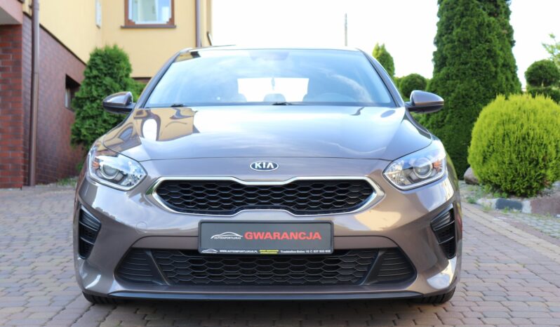 KIA CEED 1.4 BENZYNA. NISKI PRZEBIEG, SERWISOWANY full
