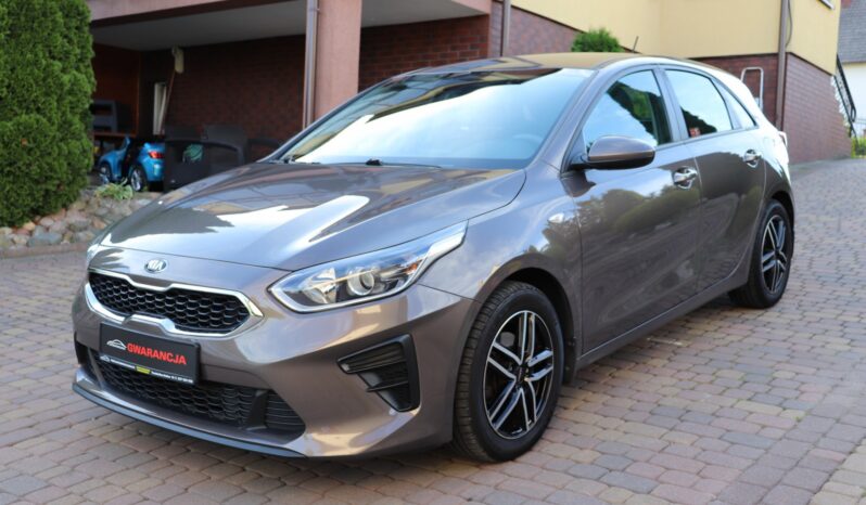 KIA CEED 1.4 BENZYNA. NISKI PRZEBIEG, SERWISOWANY full