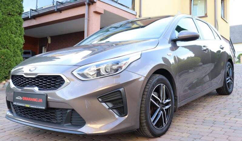 KIA CEED 1.4 BENZYNA. NISKI PRZEBIEG, SERWISOWANY full