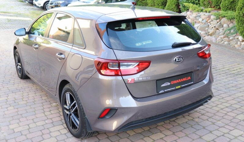 KIA CEED 1.4 BENZYNA. NISKI PRZEBIEG, SERWISOWANY full