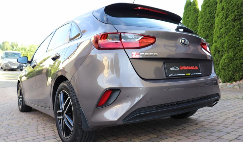 KIA CEED 1.4 BENZYNA. NISKI PRZEBIEG, SERWISOWANY full