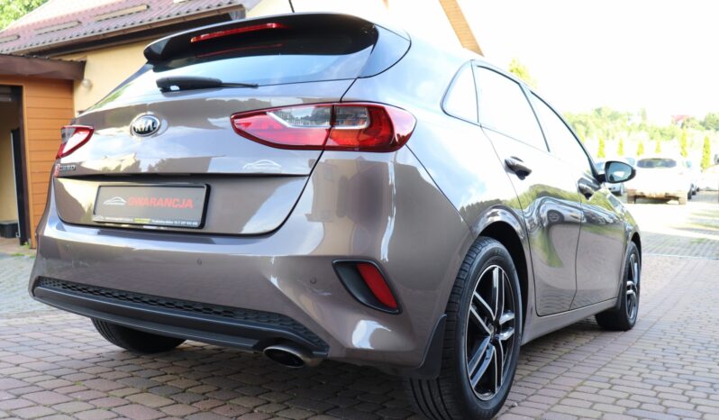 KIA CEED 1.4 BENZYNA. NISKI PRZEBIEG, SERWISOWANY full