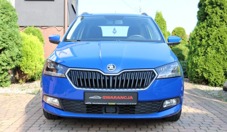 SKODA FABIA 1.0 TSI, 1 WŁAŚCICIEL, SERWIOSWANY full