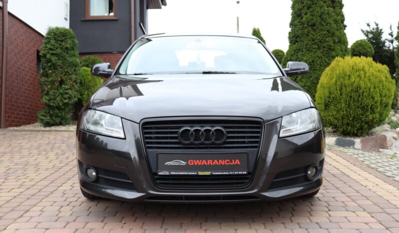AUDI A3 2.0 TDI, ZADBANY, 2012 full