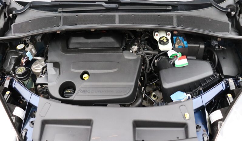 FORD S-MAX 2.0 TDCI full