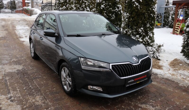 SKODA FABIA 1.0 TSI, 1 WŁAŚCICIEL, SERWISOWANY, KRAJOWY, GWARANCJA full