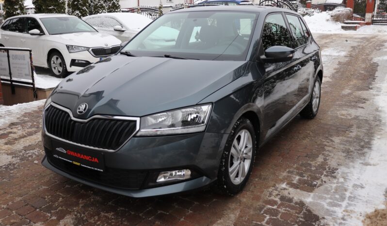 SKODA FABIA 1.0 TSI, 1 WŁAŚCICIEL, SERWISOWANY, KRAJOWY, GWARANCJA full