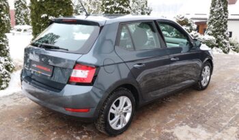 SKODA FABIA 1.0 TSI, 1 WŁAŚCICIEL, SERWISOWANY, KRAJOWY, GWARANCJA full