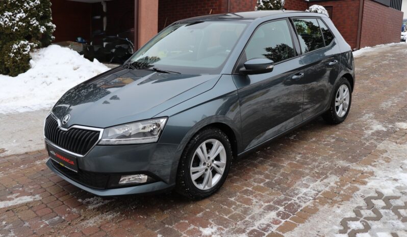SKODA FABIA 1.0 TSI, 1 WŁAŚCICIEL, SERWISOWANY, KRAJOWY, GWARANCJA full
