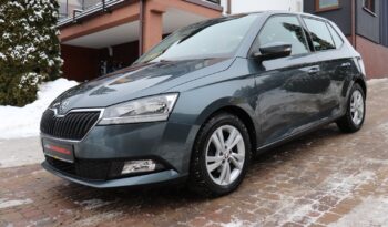 SKODA FABIA 1.0 TSI, 1 WŁAŚCICIEL, SERWISOWANY, KRAJOWY, GWARANCJA full