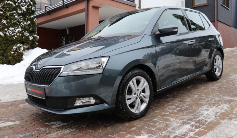 SKODA FABIA 1.0 TSI, 1 WŁAŚCICIEL, SERWISOWANY, KRAJOWY, GWARANCJA full