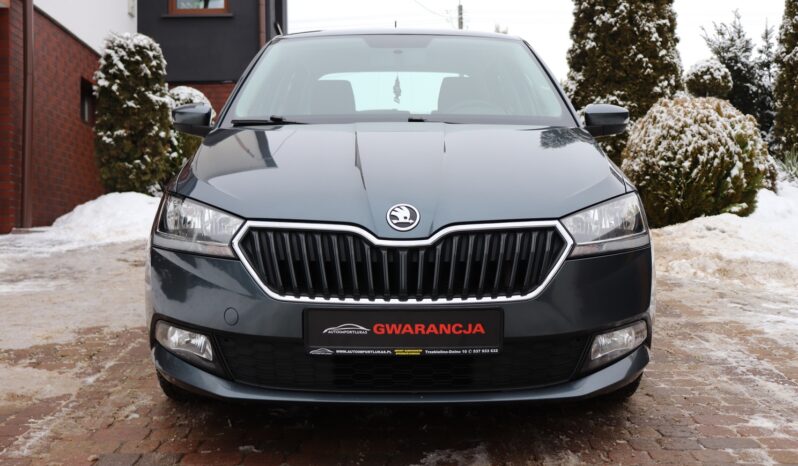 SKODA FABIA 1.0 TSI, 1 WŁAŚCICIEL, SERWISOWANY, KRAJOWY, GWARANCJA full
