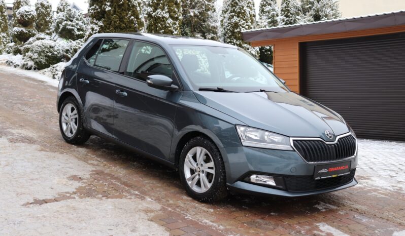 SKODA FABIA 1.0 TSI, 1 WŁAŚCICIEL, SERWISOWANY, KRAJOWY, GWARANCJA full