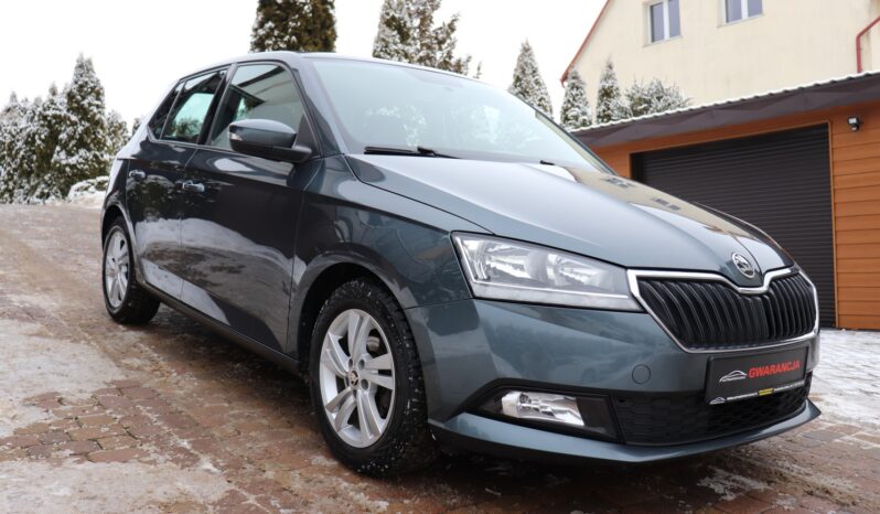 SKODA FABIA 1.0 TSI, 1 WŁAŚCICIEL, SERWISOWANY, KRAJOWY, GWARANCJA full