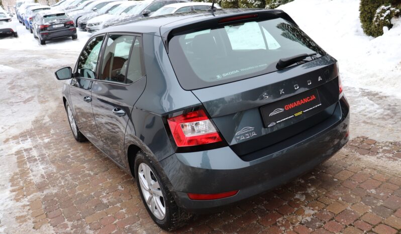 SKODA FABIA 1.0 TSI, 1 WŁAŚCICIEL, SERWISOWANY, KRAJOWY, GWARANCJA full
