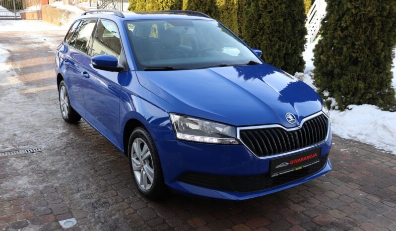 SKODA FABIA 1.0 TSI, 1 WŁAŚCICIEL, KRAJOWY, SERWISOWANY, F-VAT 23%, GWARNACJA full