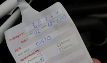 VOLKSWAGEN TAIGO 1.0 TSI, 1 WŁAŚCICIEL, SERWISOWANY, KRAJOWY, NISKI PRZEBIEG, GWARANCJA full