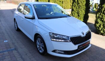 SKODA FABIA 1.0 MPI, 1 WŁAŚCICIEL, SERWISOWANY, KRAJOWY, GWARANCJA full
