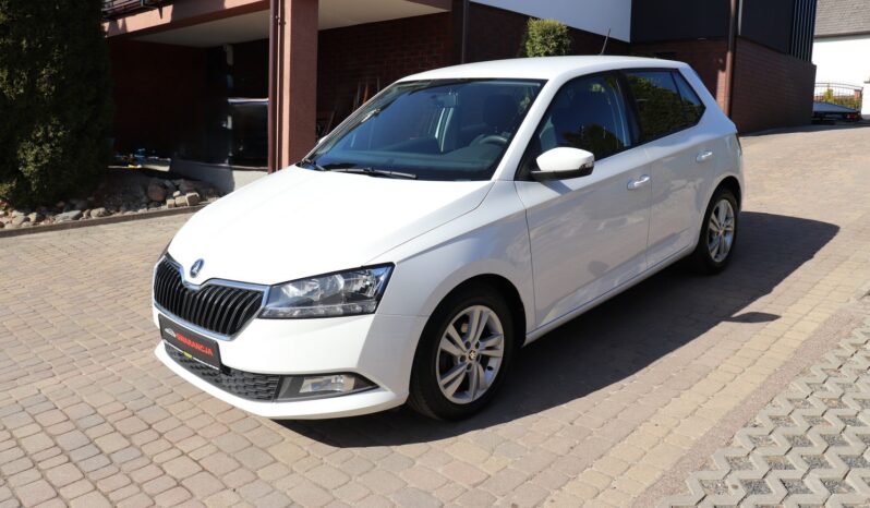 SKODA FABIA 1.0 MPI, 1 WŁAŚCICIEL, SERWISOWANY, KRAJOWY, GWARANCJA full