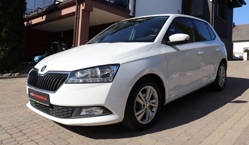 SKODA FABIA 1.0 MPI, 1 WŁAŚCICIEL, SERWISOWANY, KRAJOWY, GWARANCJA full
