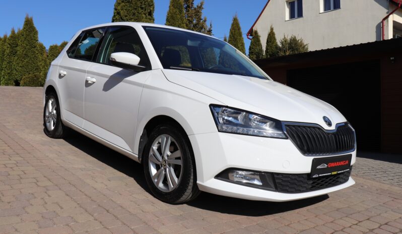 SKODA FABIA 1.0 MPI, 1 WŁAŚCICIEL, SERWISOWANY, KRAJOWY, GWARANCJA full