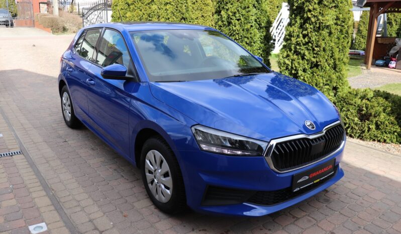 SKODA FABIA 1.0 TSI, 1 WŁAŚICICIEL, SERWISOWANY, KRAJOWY, F-VAT 23%, GWARANCJA full